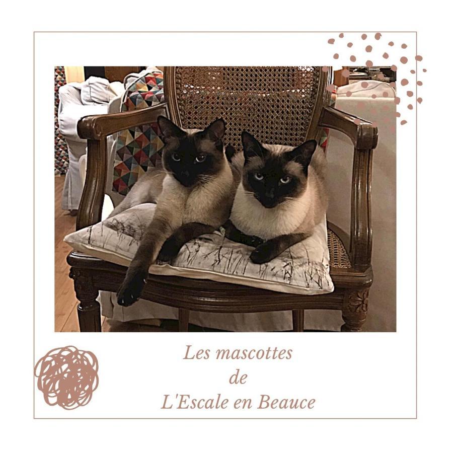 Maisons L Escale En Beauce住宿加早餐旅馆 外观 照片